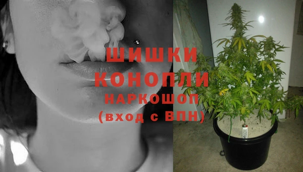 не бодяженный Гусев