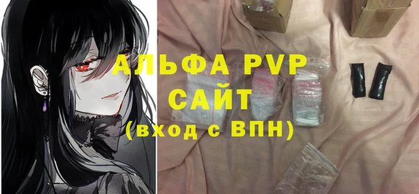 apvp Гусиноозёрск