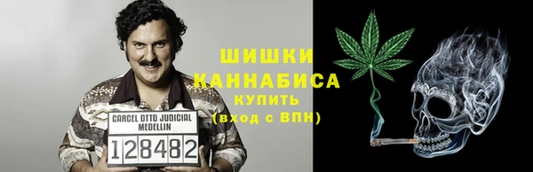 apvp Гусиноозёрск