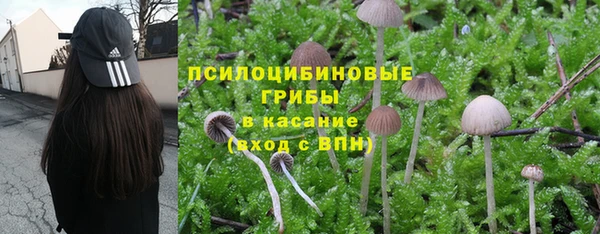 не бодяженный Гусев