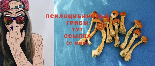 не бодяженный Гусев
